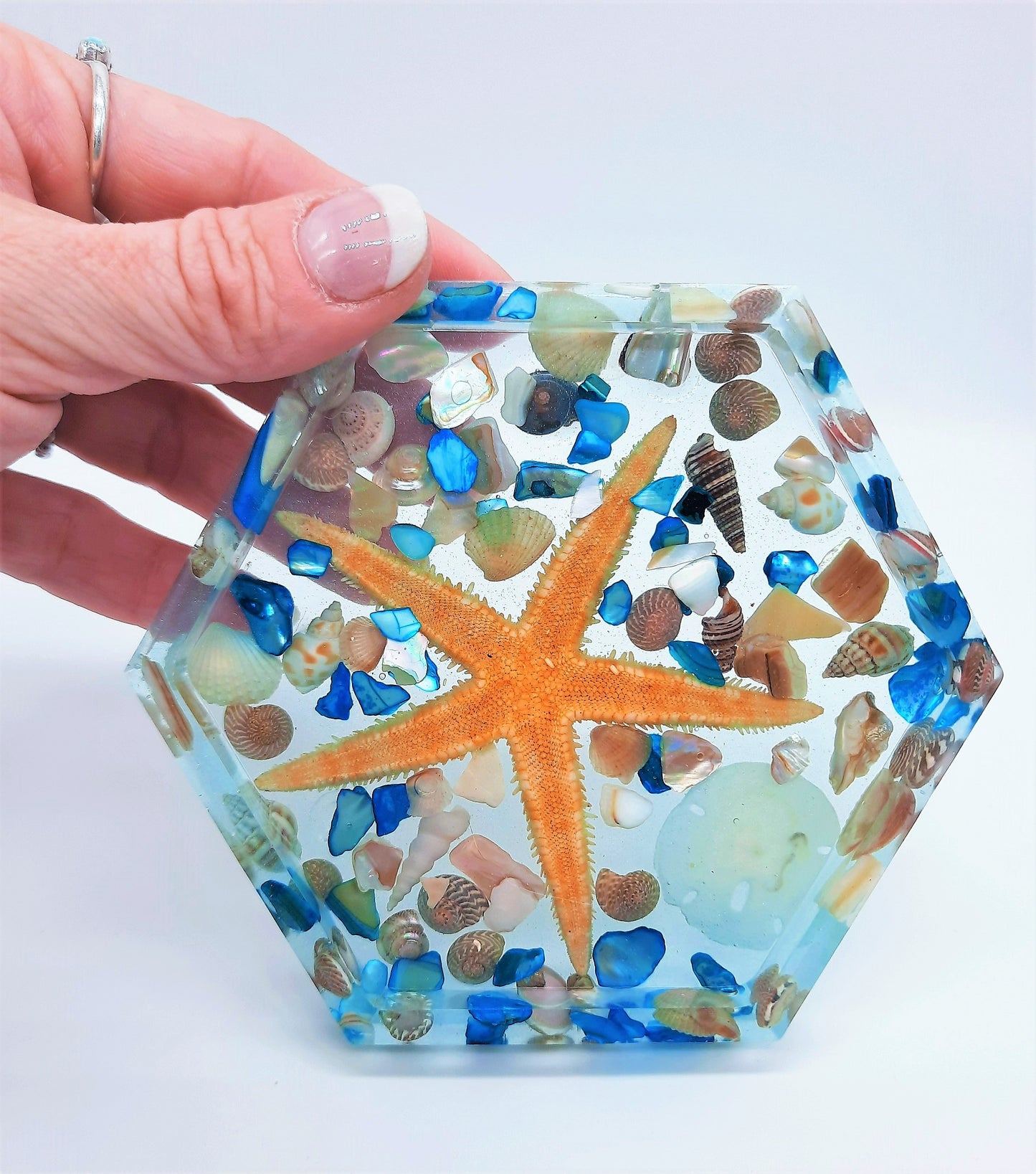 Resin Seashell Coasters (Set of 4)
