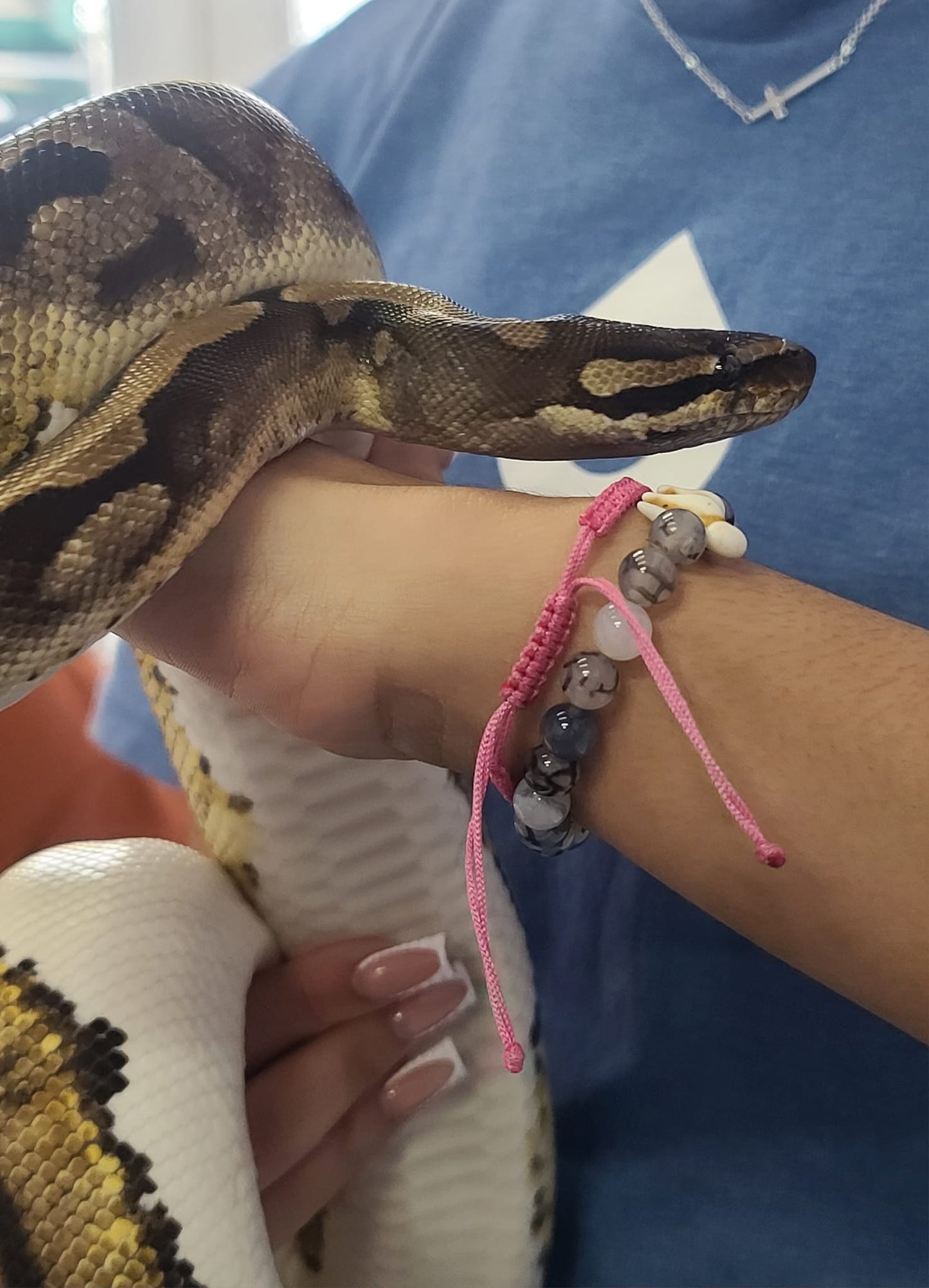 Hang Out with LIVE Reptiles & Paint Your Own 3D Printed Critter! - May 19th, 3-4:30p