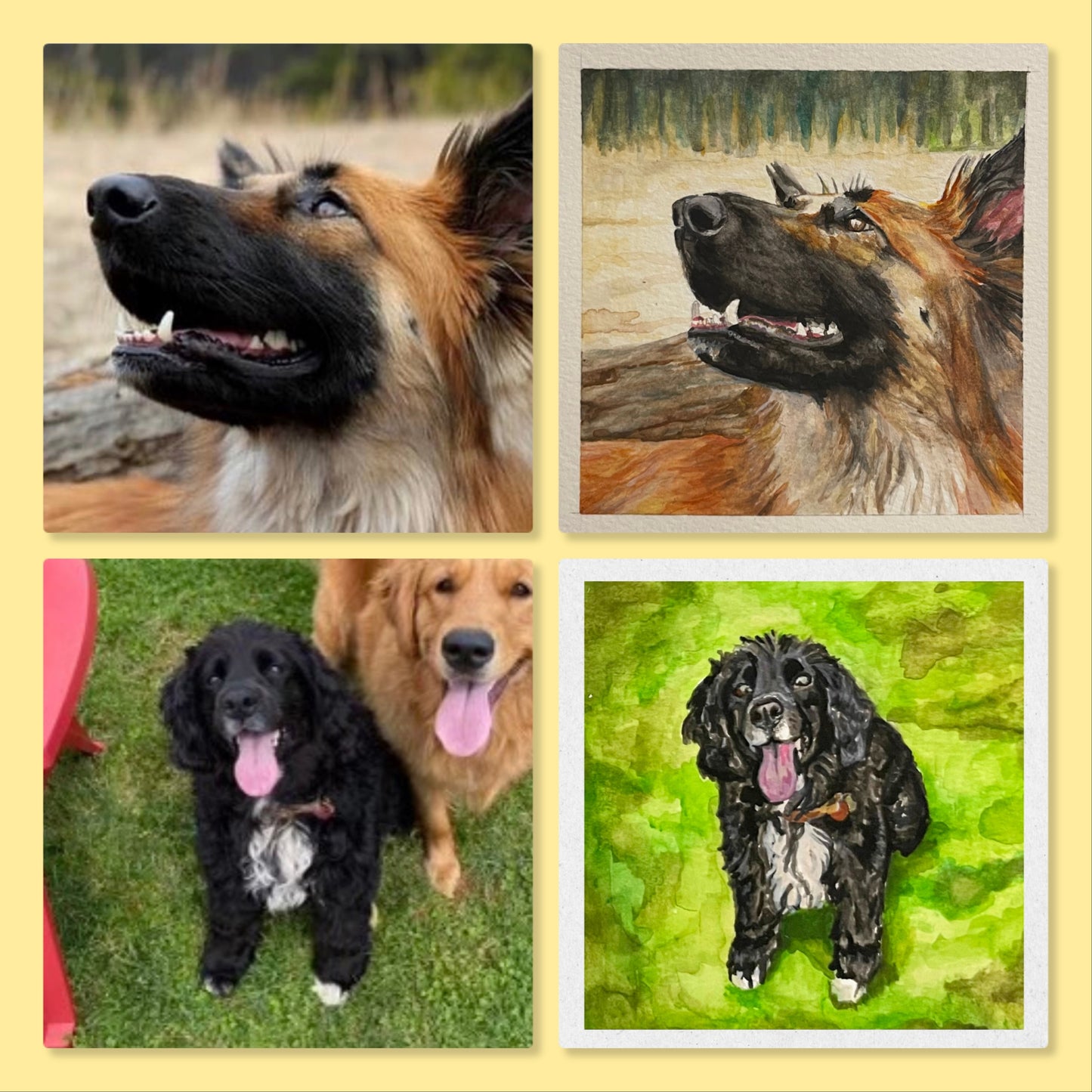 Book a Private Class! Step by Step Watercolor Class - Paint Your Own Pet Portrait