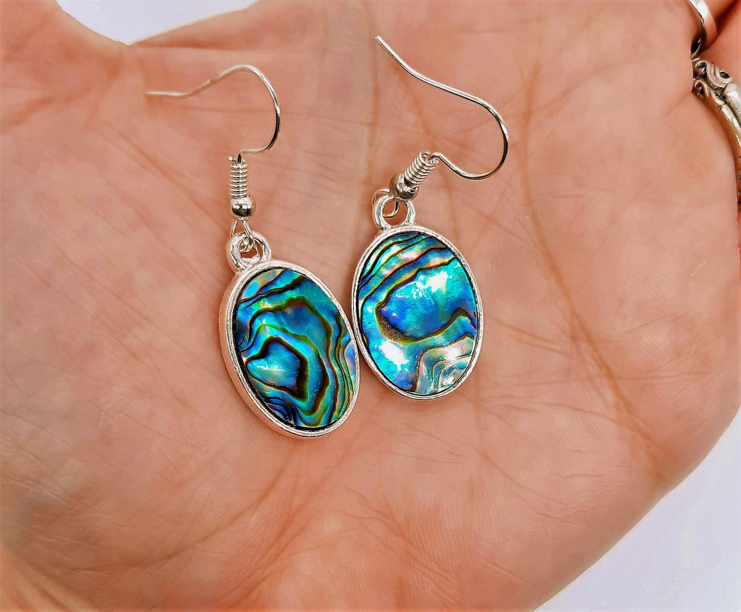 Handcrafted / Handmade Natural Abalone / Paua Seashell Earrings / Made with Hypoallergenic Silver Stainless Steel Ear Wire Hooks