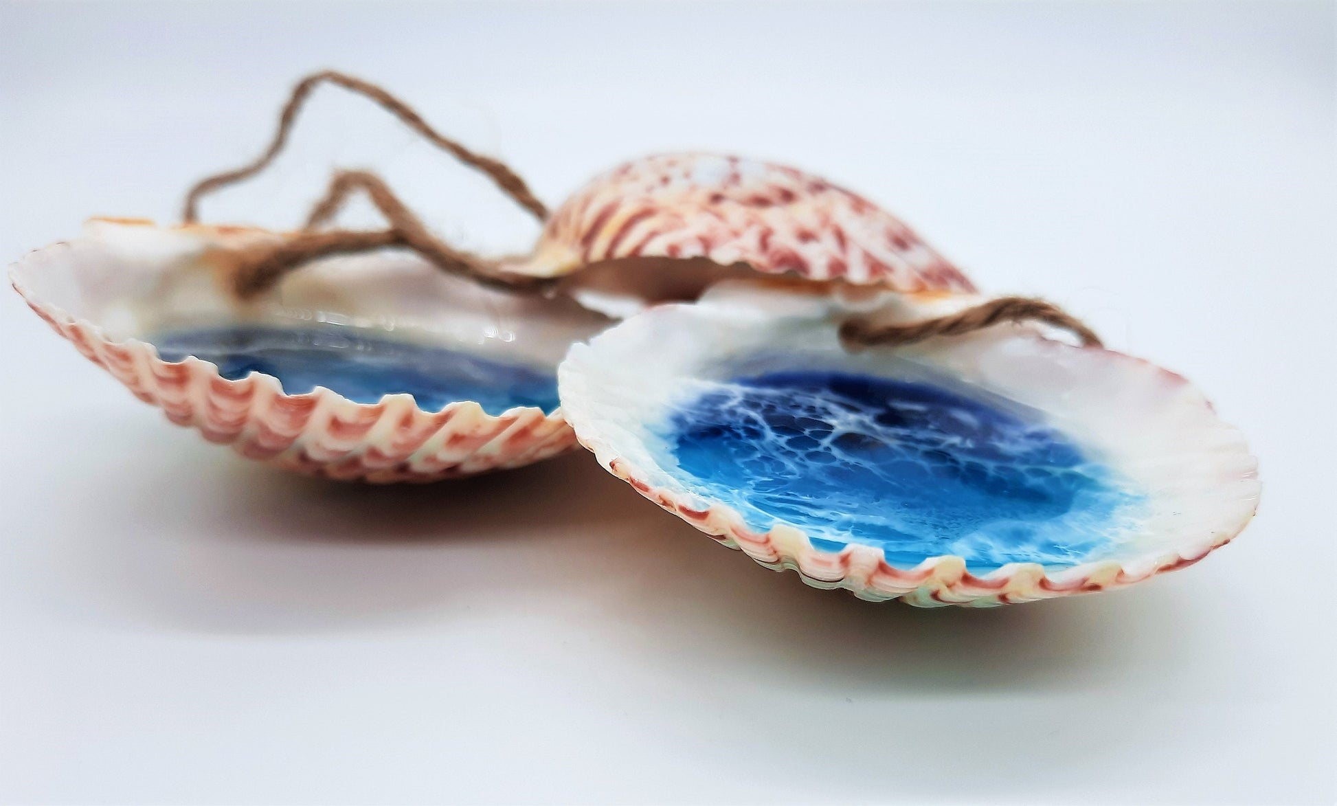 Eco-Friendly Epoxy Resin Ocean Scallop Seashell Christmas Ornament / Beach Seashell Ornament / Tropical Paradise Shell Holiday Ornament